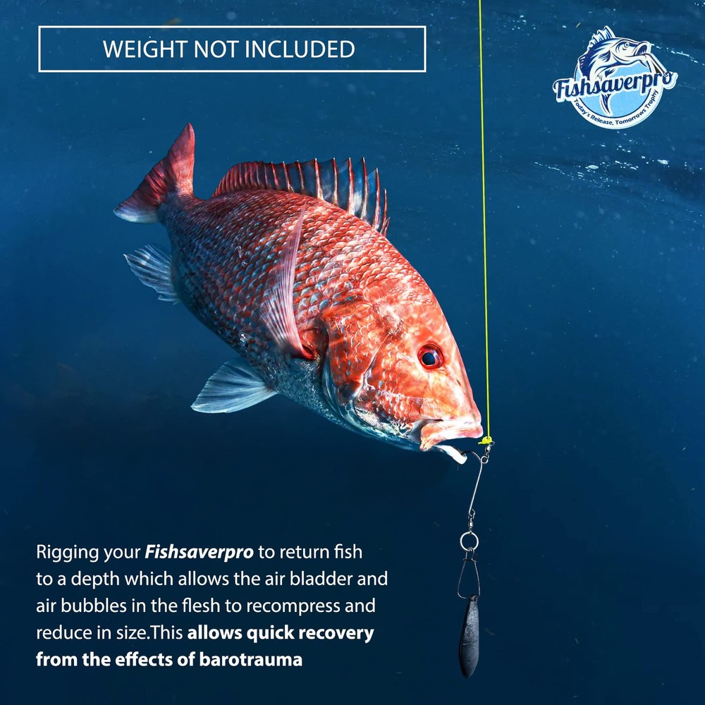 Fish descending release device compact NOAA compliant for deep drops