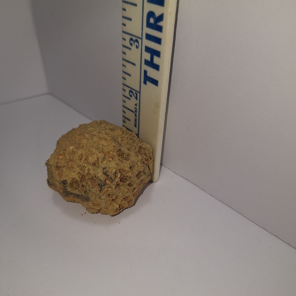 igneous rock