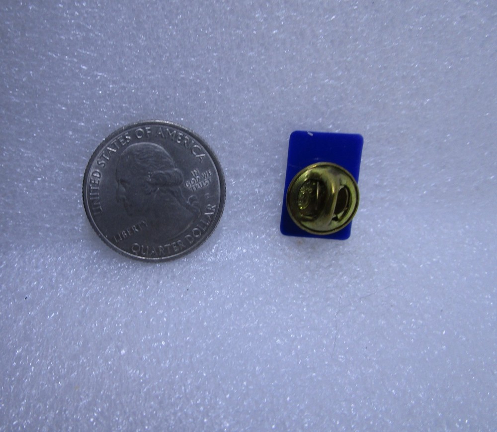 State Of Nevada Plastic Pin