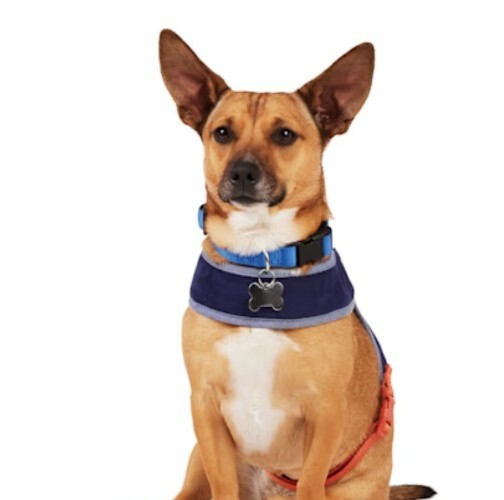NWT Youly Bow Tie Pet Harness Navy Wht Orange, Medium