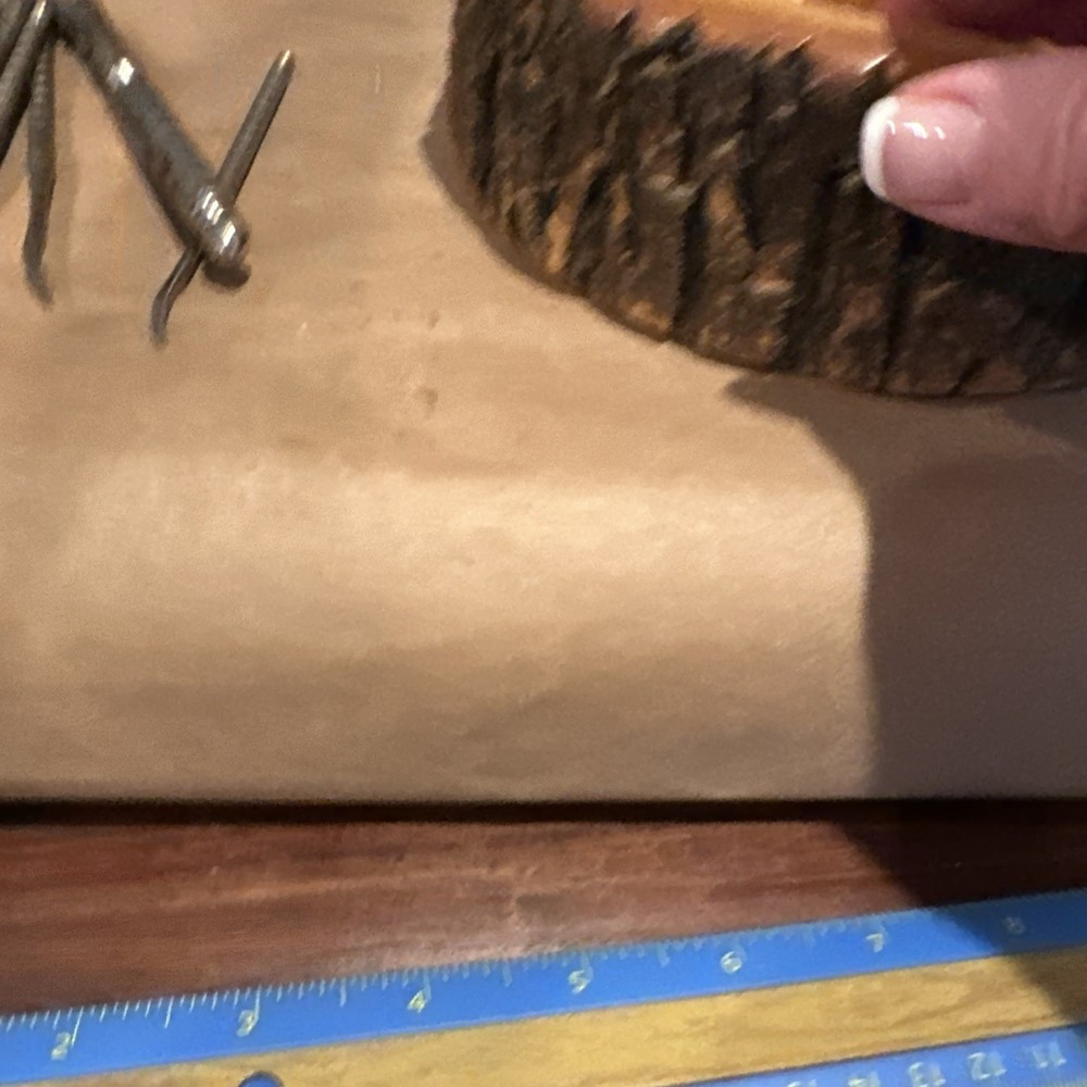 Vintage Nut Bowl Rustic Edge Tree Bark Set with 1 Nutcracker & 4 Picks