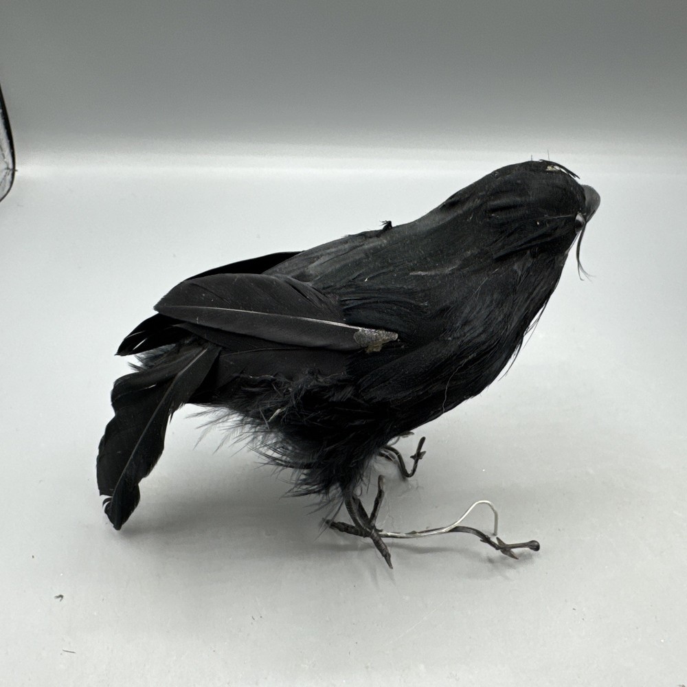 5 PCS Black Feathered Crows Halloween Ravens