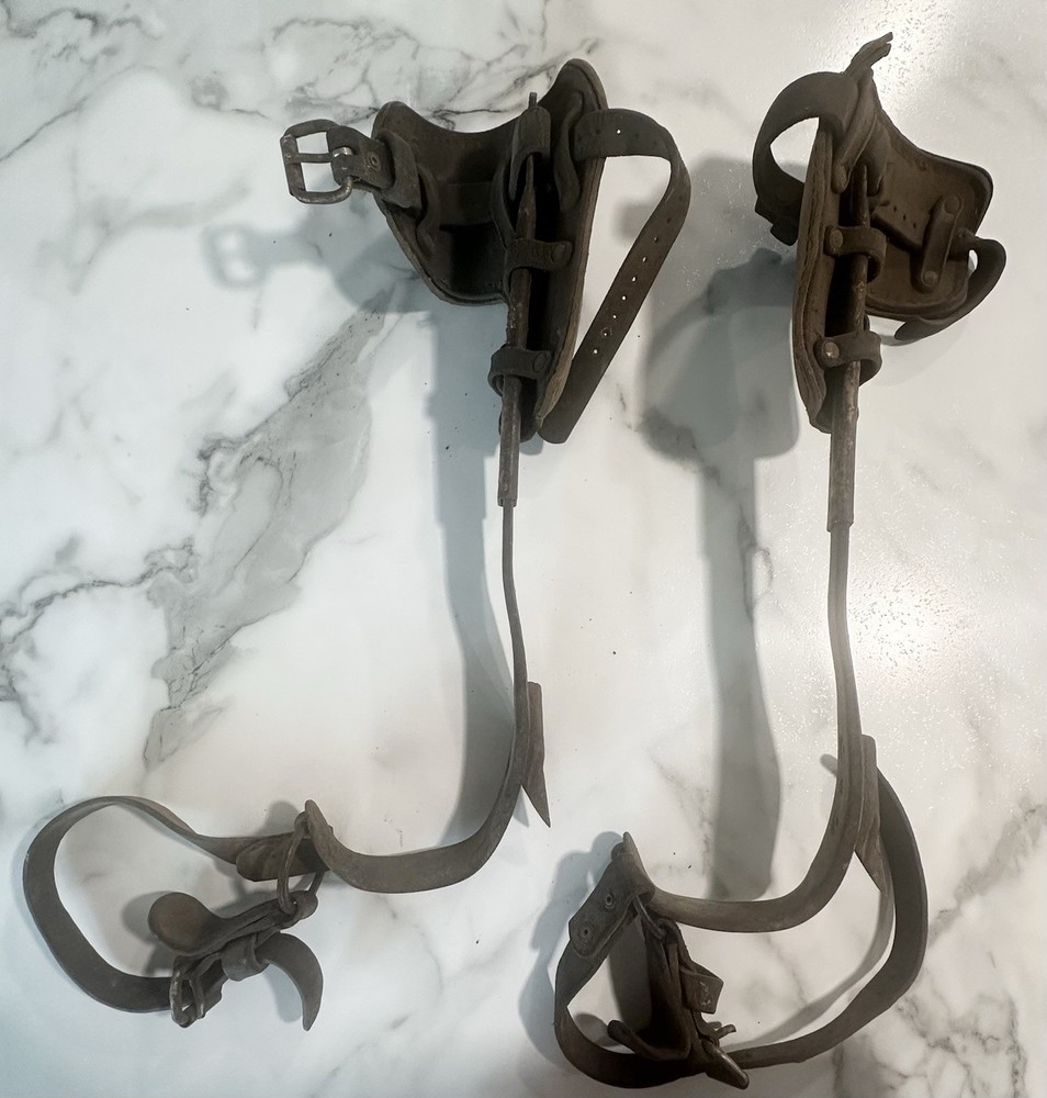 Vintage/Antique Tree Pole Climbing Spikes