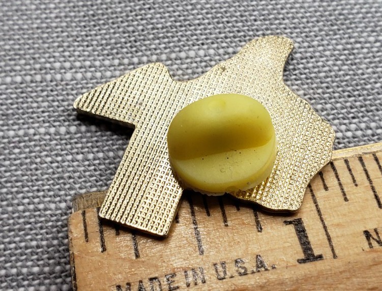 Vintage Pin Texas H86