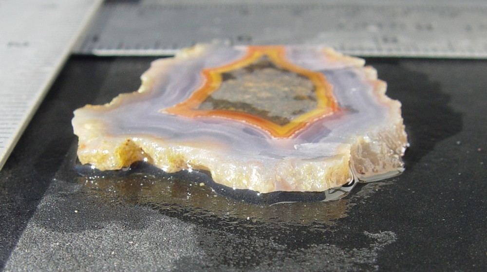 Laguna Agate Lapidary Slab T1295