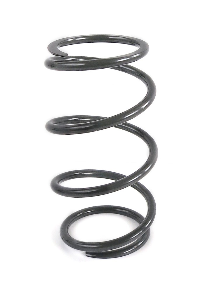 EPI Clutch Spring - PEBS29