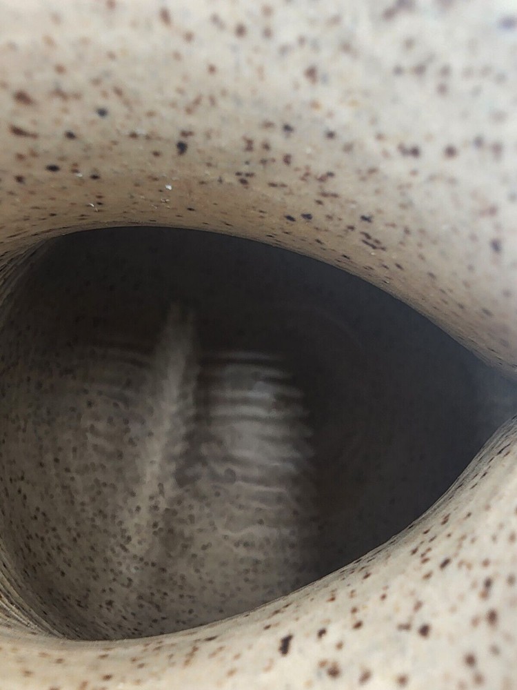 Studio Art Pottery Pitcher Animal Bird 6 1/2” Tall