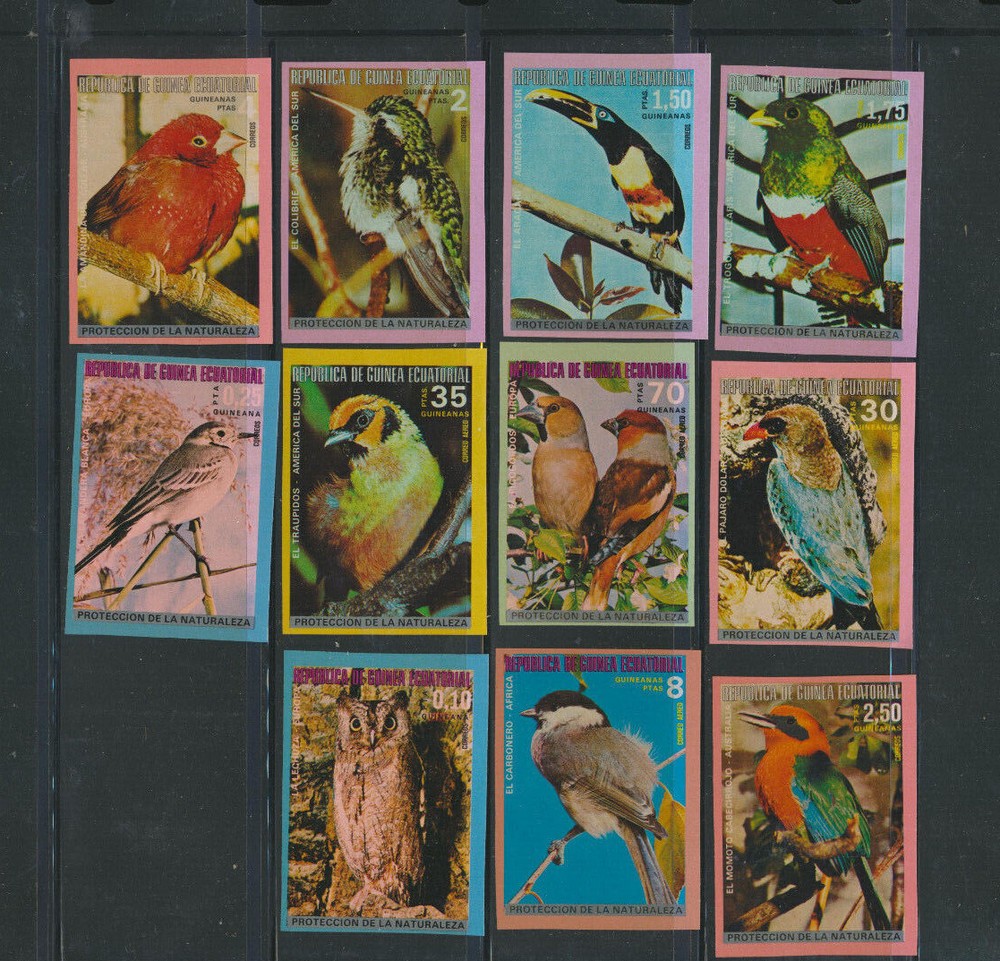 BIRDS  11 Different Mint Never Hinged Multi Color  Imperforate Equitorial Guinea