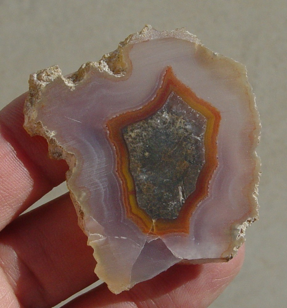 Laguna Agate Lapidary Slab T1295
