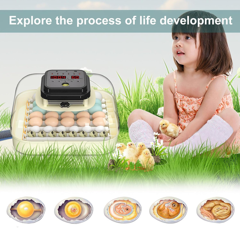 35 Egg Incubator with Automatic Egg Turning and Humidity Control, Incubator for