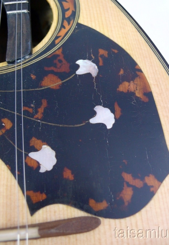 Japan MASCOT bowlback solid Spruce&Curly MAPLE Mandolin,hard case,OJMN21