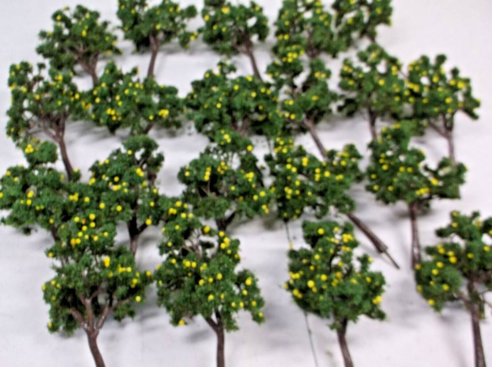 (20) HO Lemon trees (lot 4917)