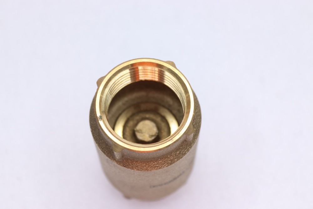 Everbilt 1 in. Brass Check Valve