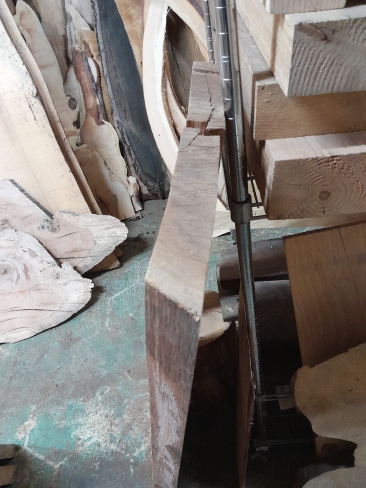 Palm Tree Live Edge Slab