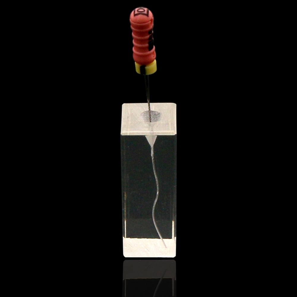 10Pcs Dental Endo Root Canal Teeth Models Practice Block RCT Pulp Cavity Study