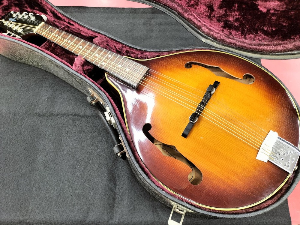 BLUERIDGE BM300F/TS Mandolin