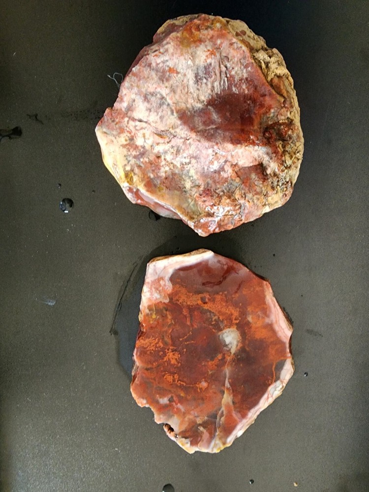 Moss agate Lapidary rough and slab Maury Mountain