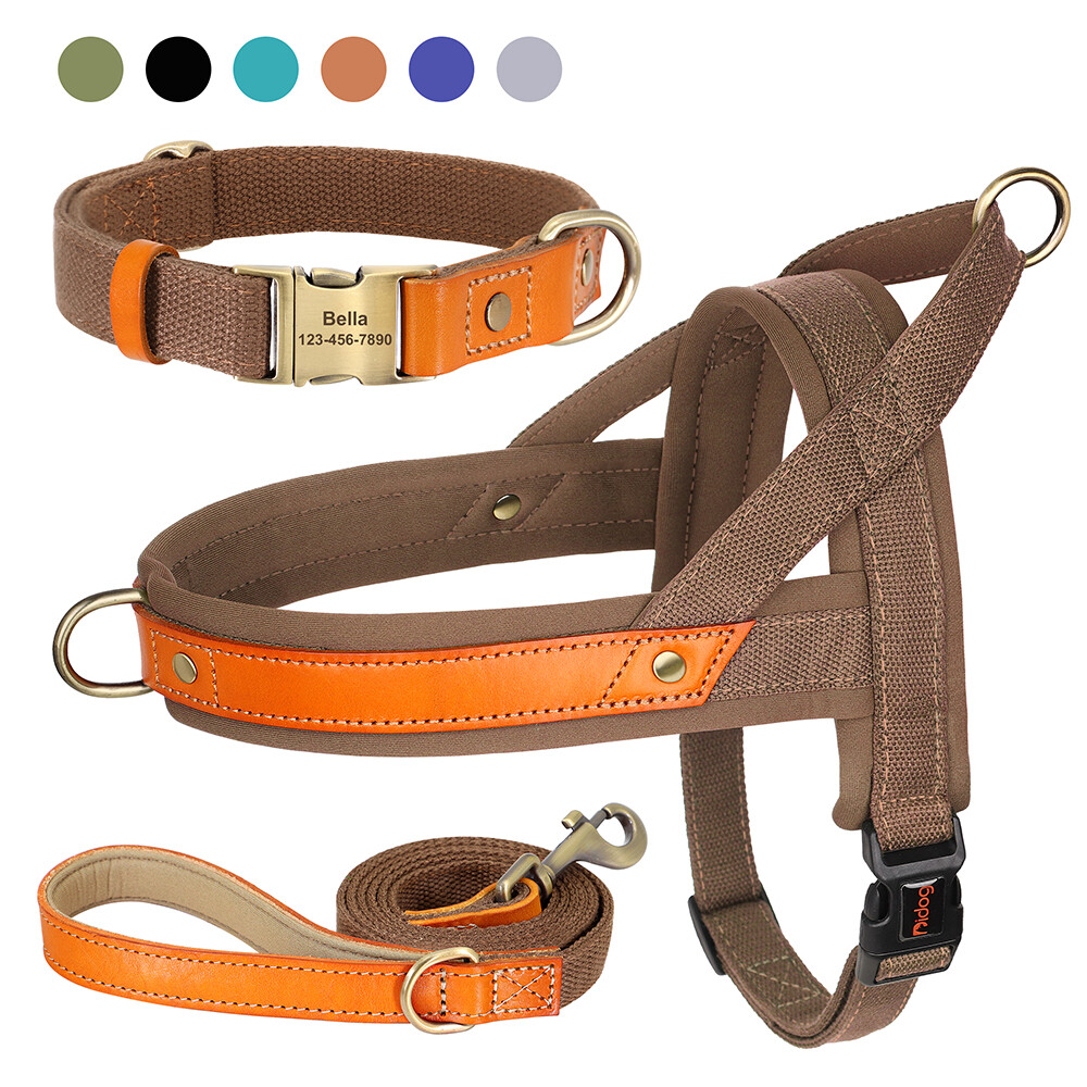 Personalized Dog Collar & Walking Leash & Soft Padded No Pull Vest Harness XS-L