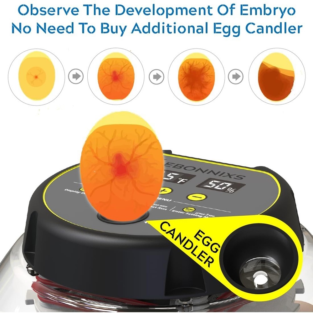 Automatic Egg Turner & Humidity Display Incubator