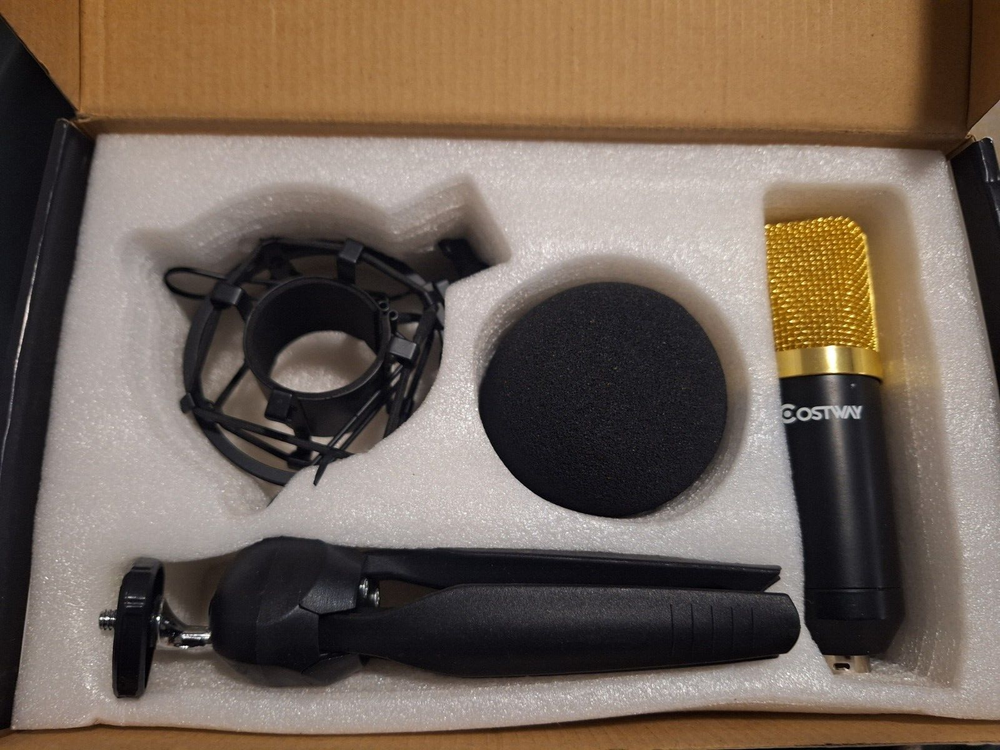CostWay Microphone