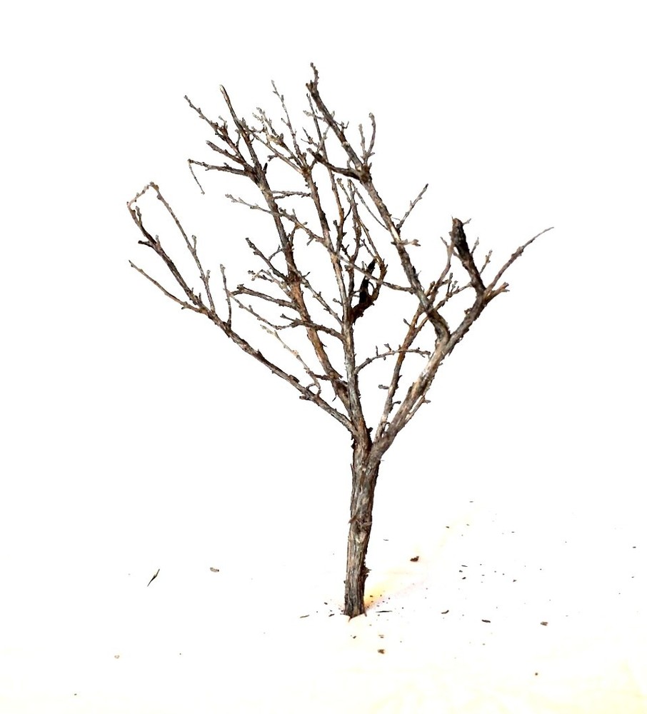 Miniature Trees ~ 20 2" Wargaming, MODEL RAILROAD TREE ARMATURES DEAD FALLS