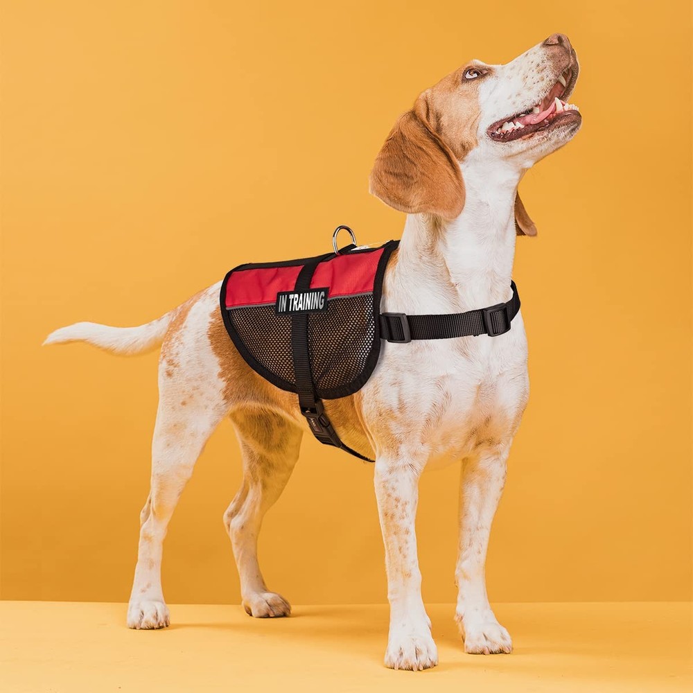 Red Large MaxAire MultiPurpose Mesh Vest 2 Training Patches Adjustable Pet