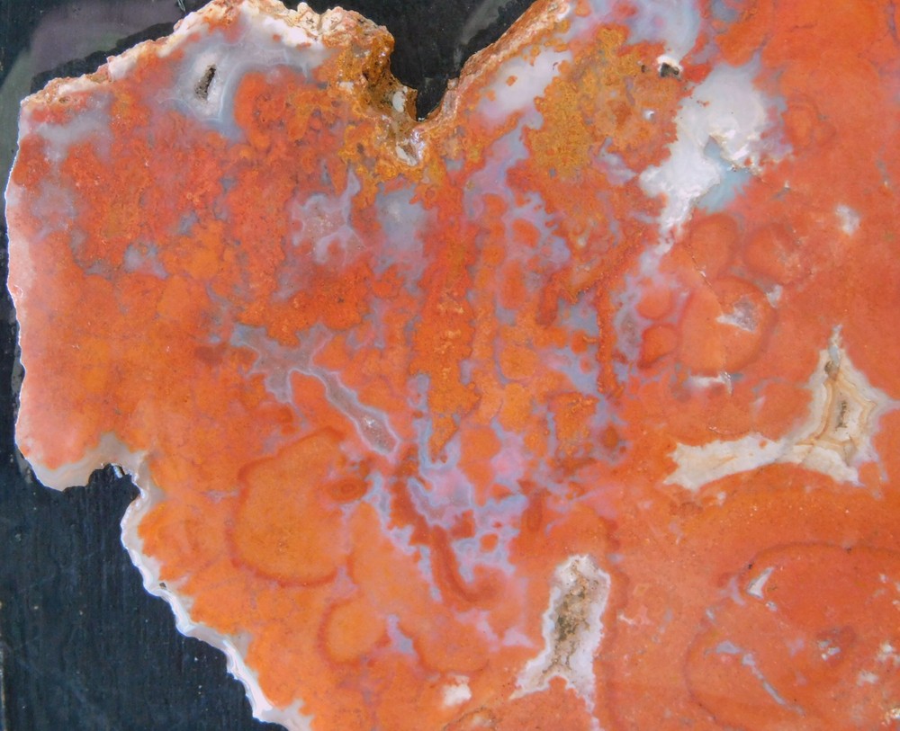 Red Agate lapidary cabbing slab from Durango Mexico 4mm thick