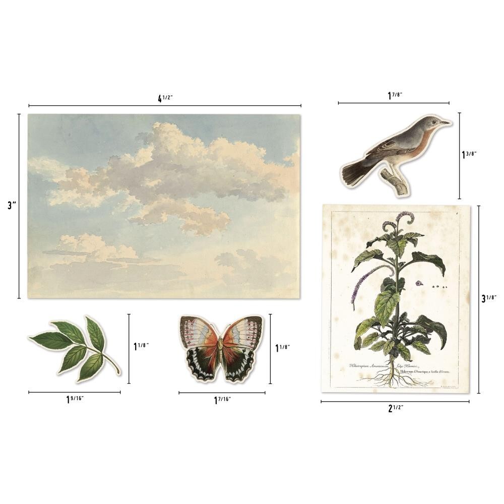 Tim Holtz ~ LAYERS ~ Organic ~ Idea-ology