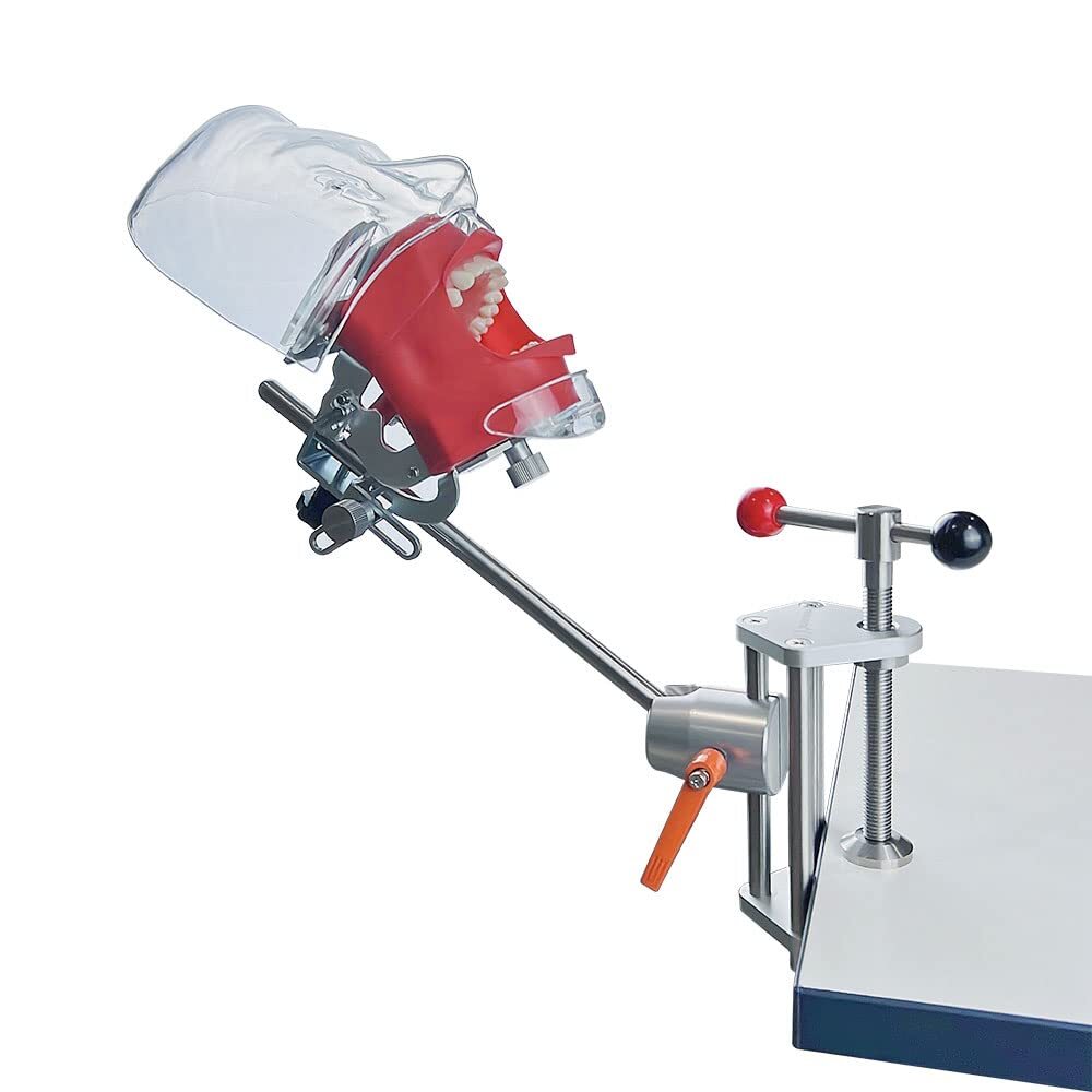 Dental Simulator Phantom Head for Dentist Education Teaching Practicing OralMold