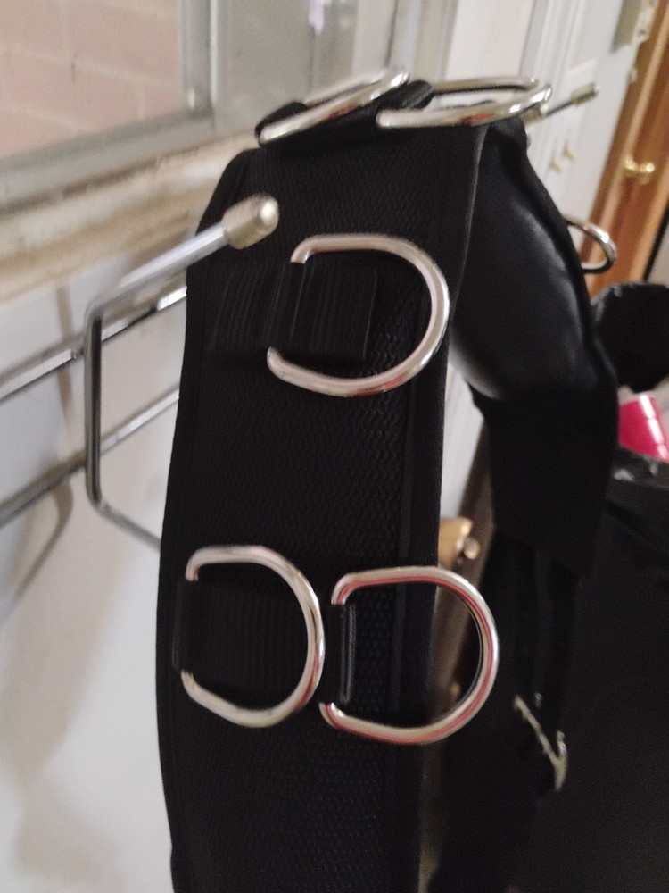 Leather and Webbed Horse Size Lunging & Driving Training Surcingle