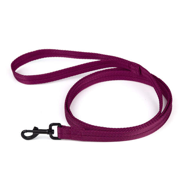 Nylon Leash 5/8" X 6ft Berry