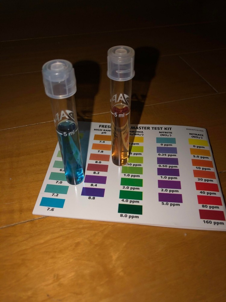 POND MASTER TEST KIT Pond Water Test Kit 500-Test