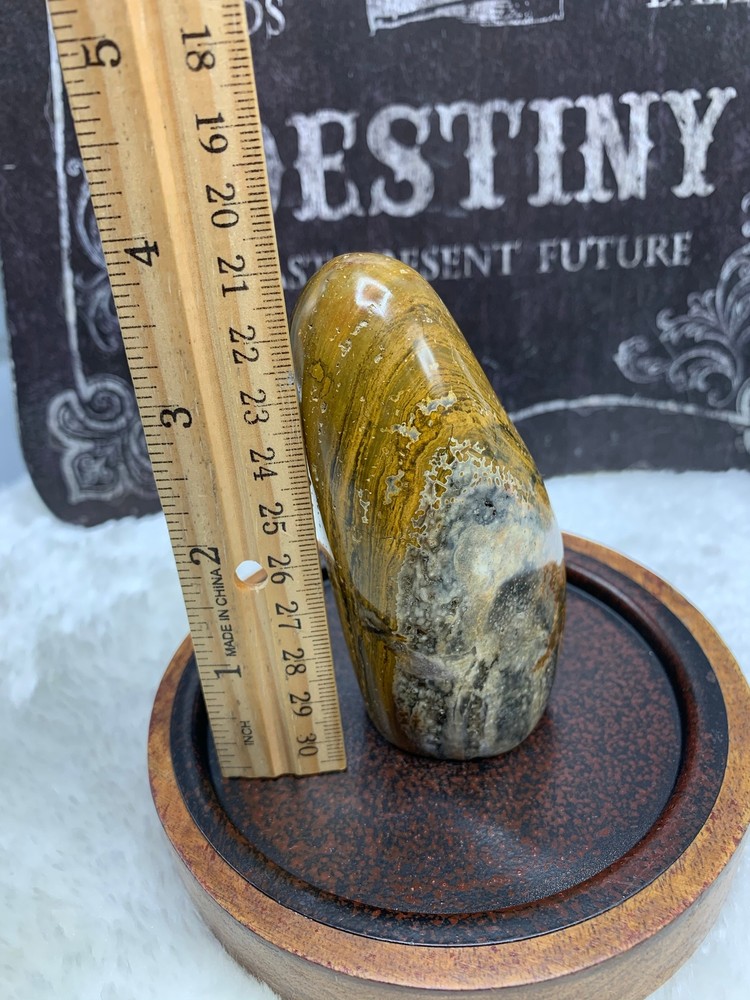 Ocean Jasper Free Form- OJ21