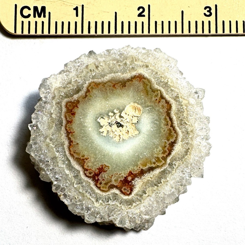 Stalactite Flower Slice Polished Both Sides x883