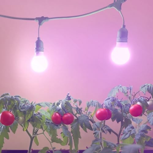 Unedison Tomato DIY Indoor Grow Light Kit - 2 Red & Blue Spectrum Replace