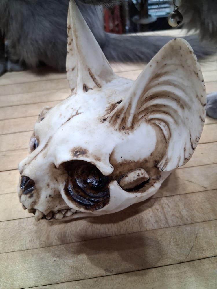 Bastet Cat Skull Figurine Gothic Egyptian Decor