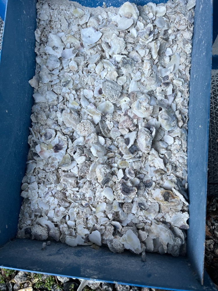 Crushed Oyster Shell for Tabby Concrete – Bulk by the Pound