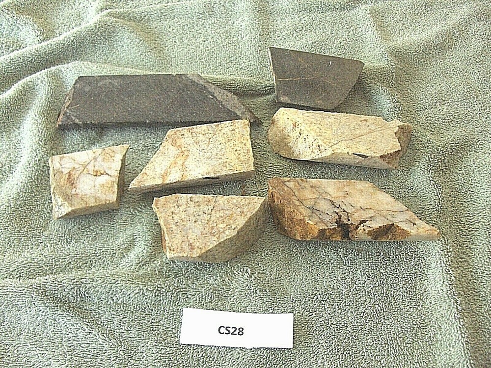 Split Core Samples From Alaska Gold Mine 7 Pieces CS28