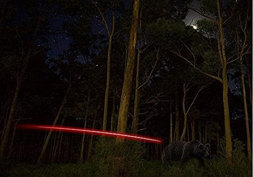 Crossbow Lighted Nock with Bushings Universal Fit