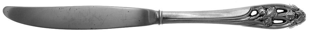 International Silver Silver Iris Modern Hollow Knife 5784872