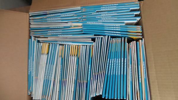 Fellowes WrightRight Micro-Thin Screen Protectors for Palm Tungsten (98198)