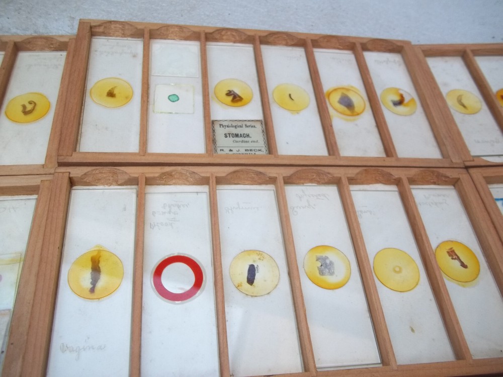 Vintage Glass Microscope Slides