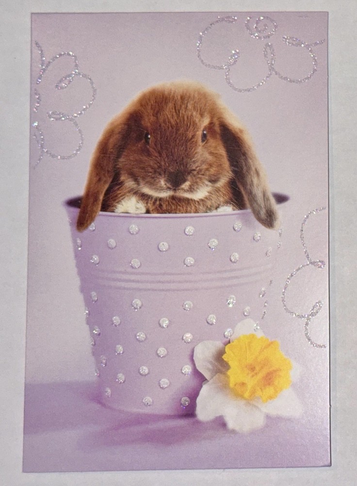 Easter Greeting Card Bunny Bucket Glitter New