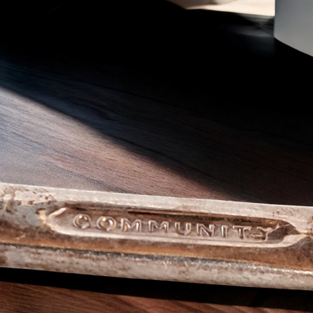 Community Silverplate Pie / Cake Server Floral Design