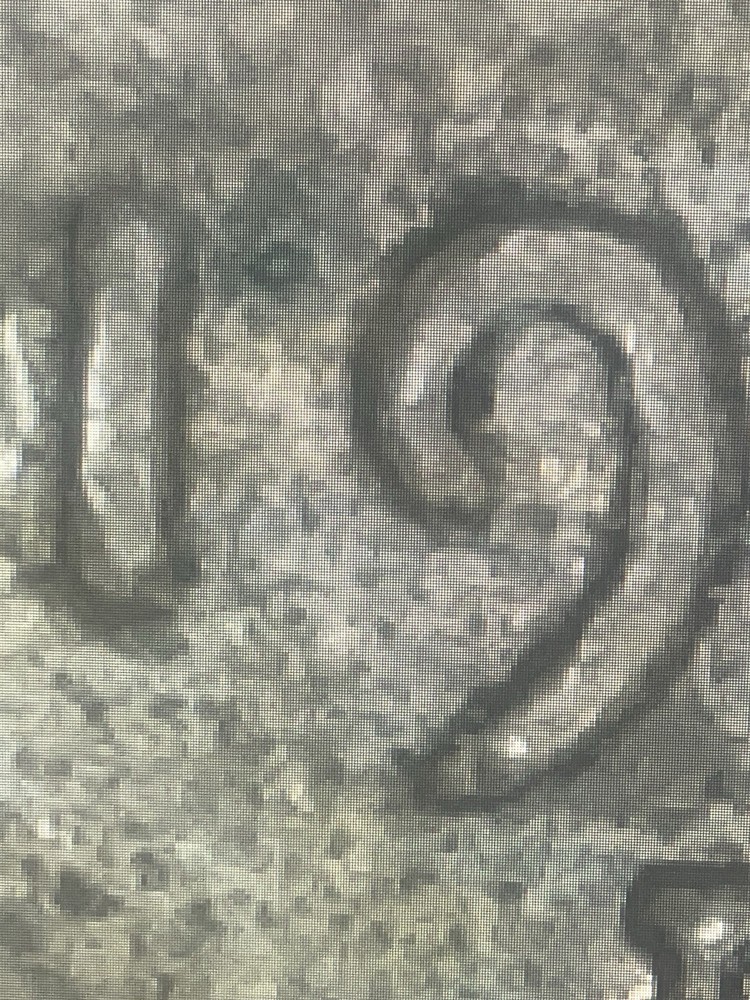 1951D Lincoln Cent DDO & Die Crack Reverse