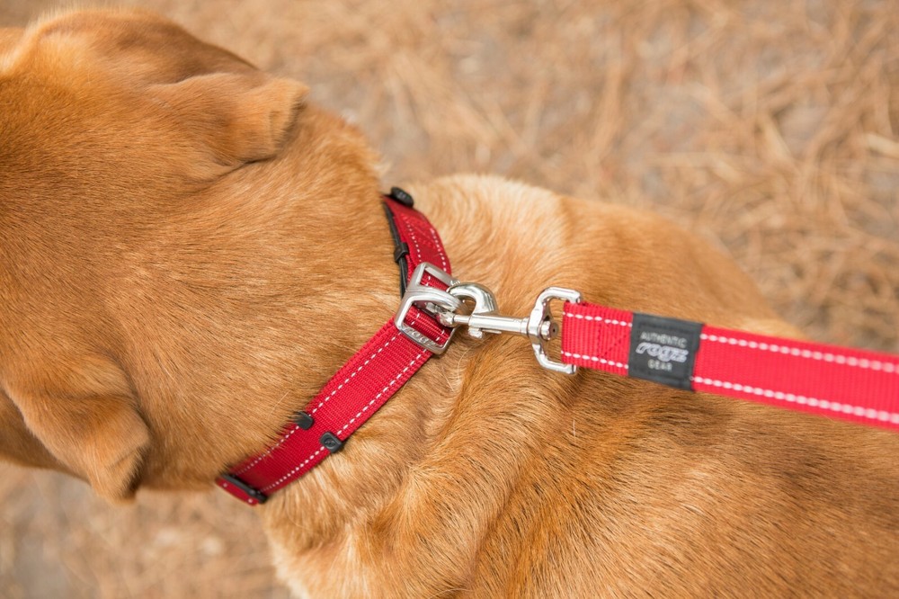 Rogz Dog Collar - Safety Stretch Release Collar - Medium / Large / Extra Large