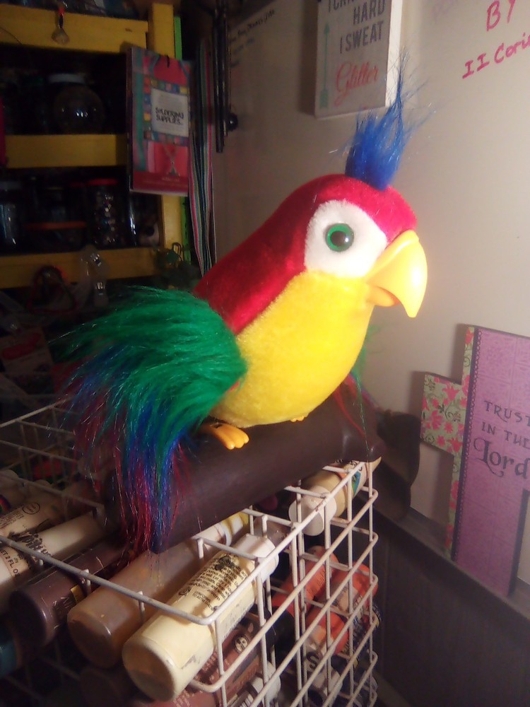 Colorful Parrot That Talks