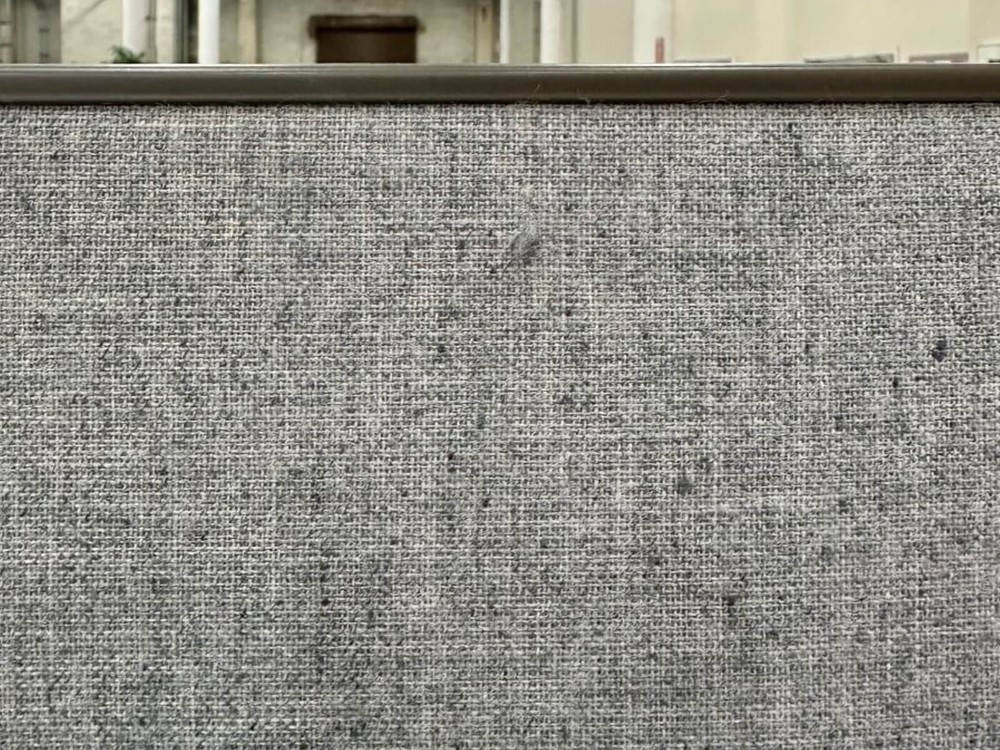 Herman Miller AO2 6x4 Used Cubicles