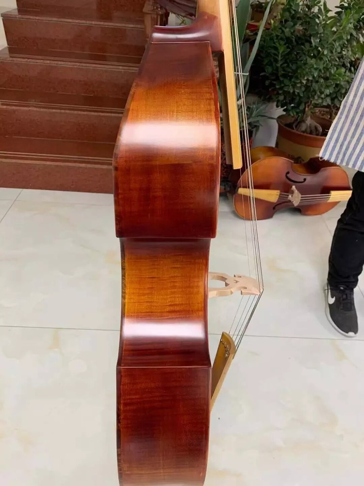 profession SONG maestro 6 string 27" viola da gamba,Bird's eye maple back