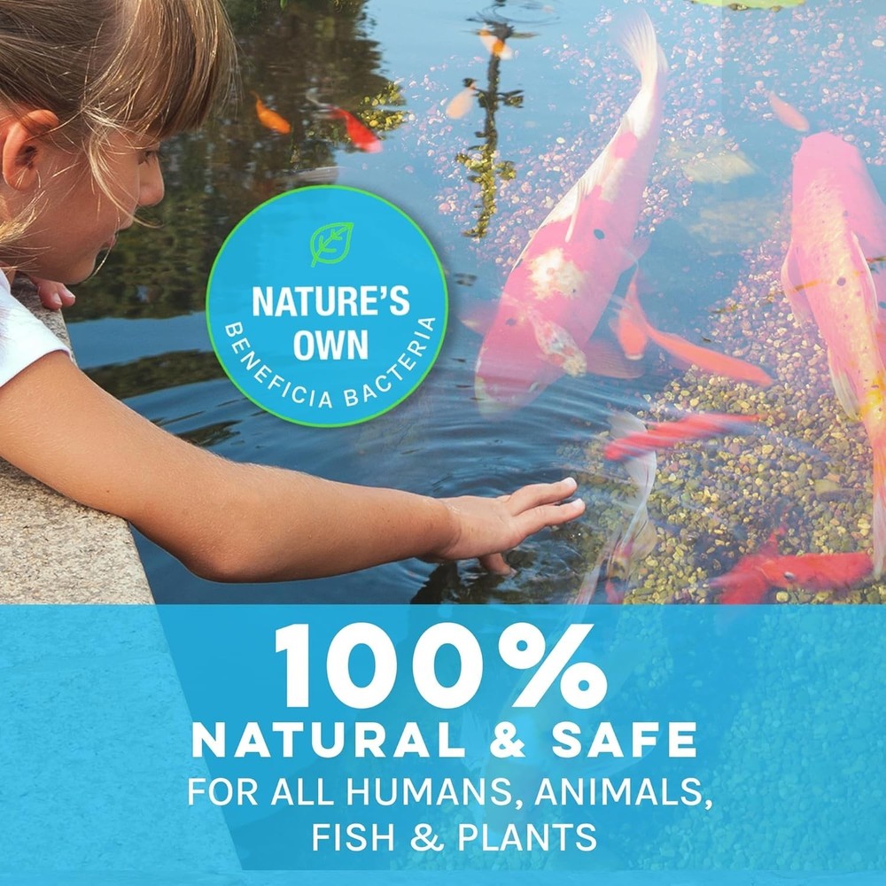 Effective Pond Maintenance Solution=